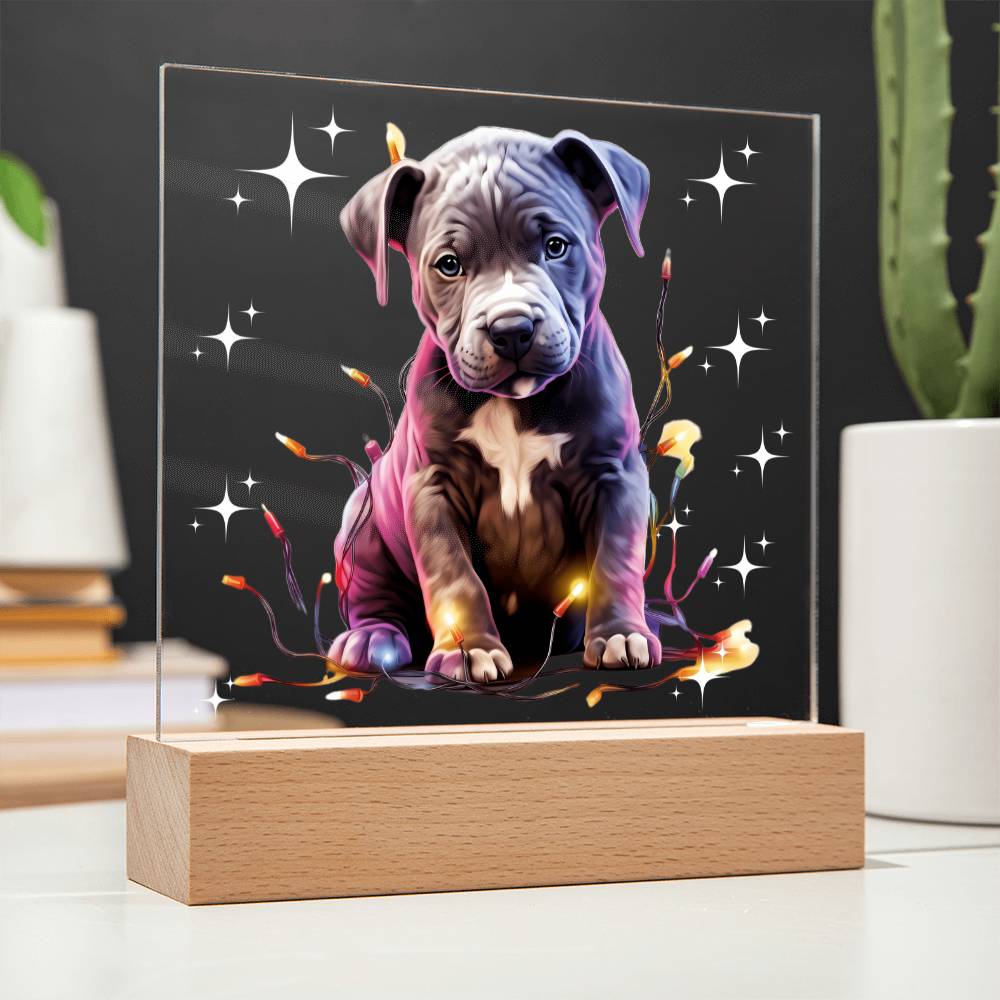 Pitbull Christmas Night Light