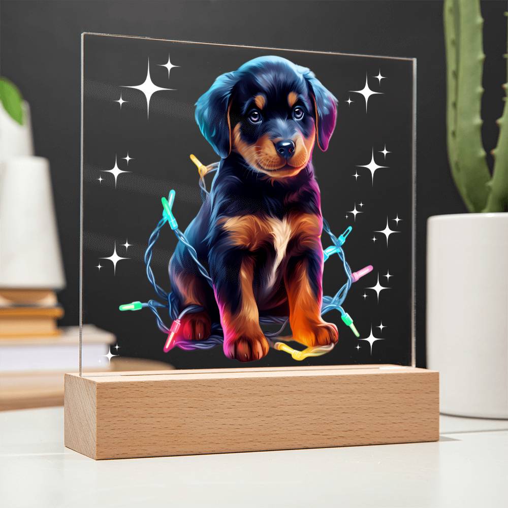 Rottweiler Christmas Night Light