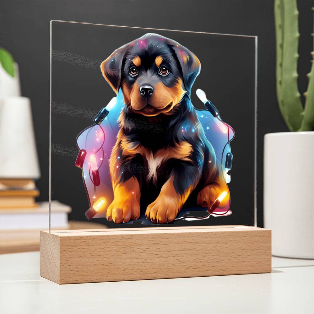 Rottweiler Christmas Night Light