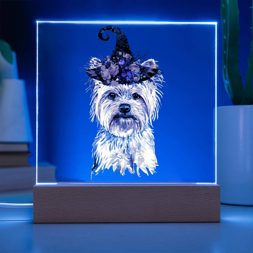 LED Night Light | Halloween Decor Indoor | Yorkie Dog Lover Gift | LED Night Light