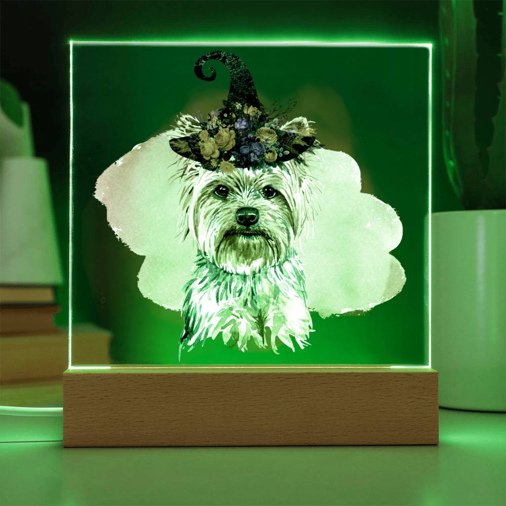 LED Night Light | Yorkie Dog Lover Gift | LED Night Light