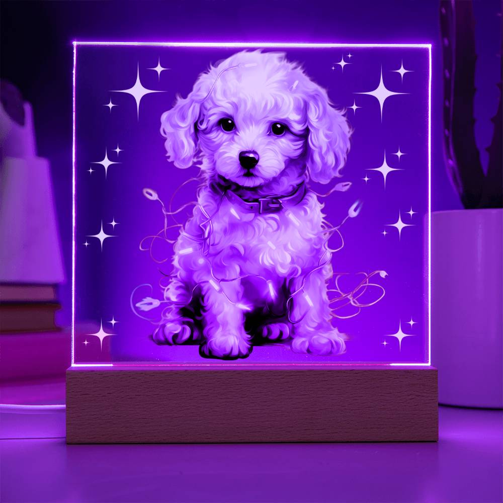Poodle, Christmas Night Light