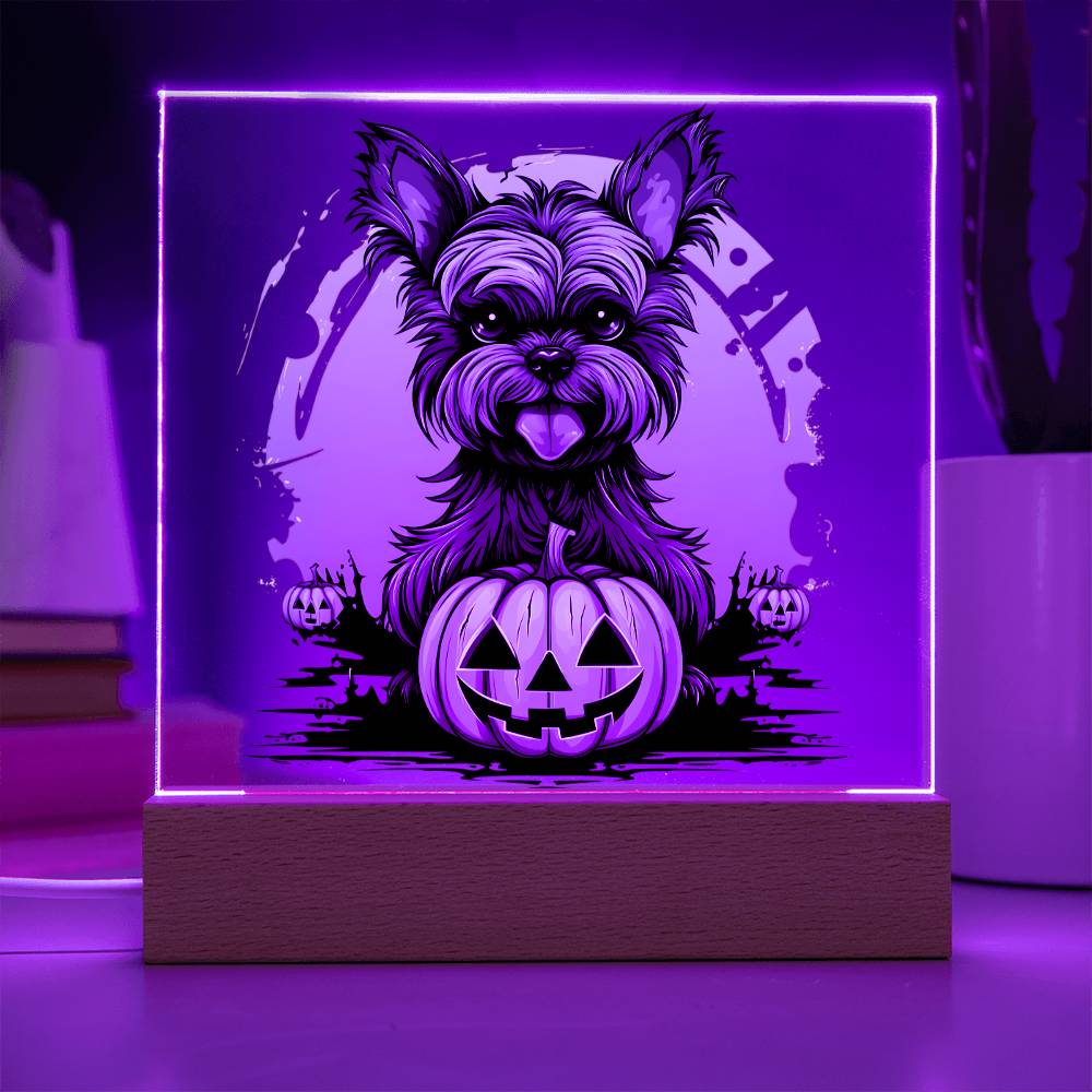 Yorkshire Terrier Halloween Decor Indoor | LED Night Light