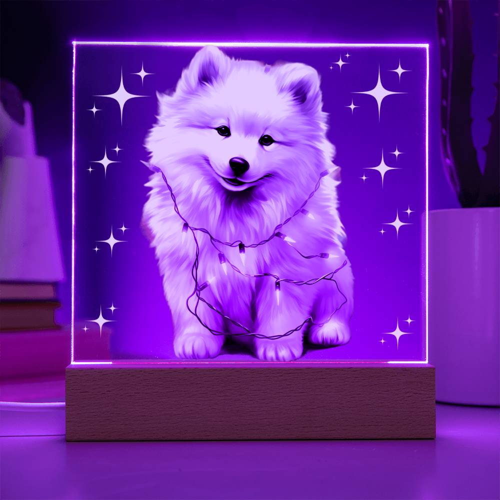 Christmas Night Light, Samoyed