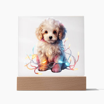 Poodle, Christmas Night Light
