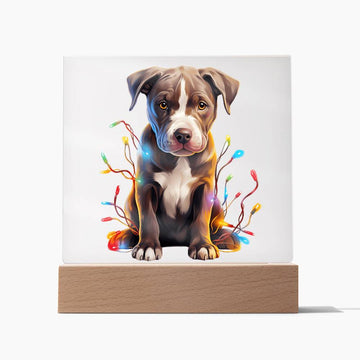 Pitbull Christmas Night Light