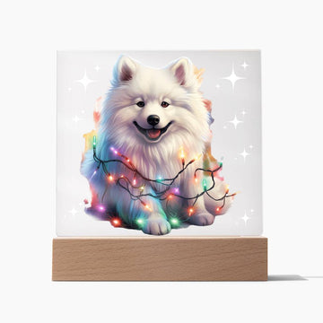 Samoyed, Christmas Decor Indoor