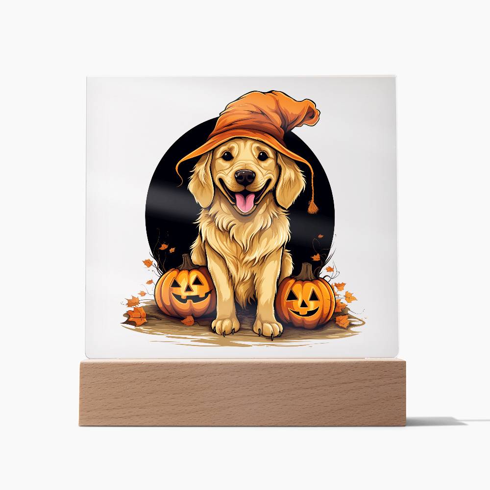 Funny Halloween Decor Indoor | Acrylic LED Night Light | Dog Pumpkin  Golden Retriever