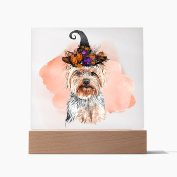 LED Night Light | Yorkie Dog Lover Gift | LED Night Light