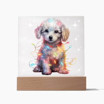 Poodle, Christmas Night Light