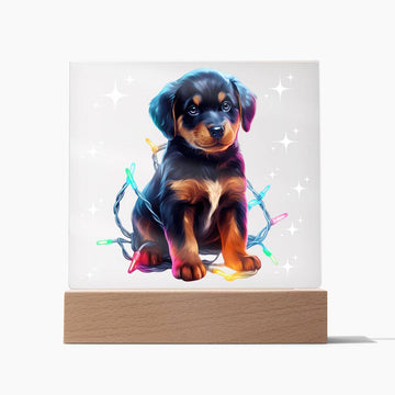 Rottweiler Christmas Night Light