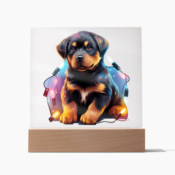 Rottweiler Christmas Night Light