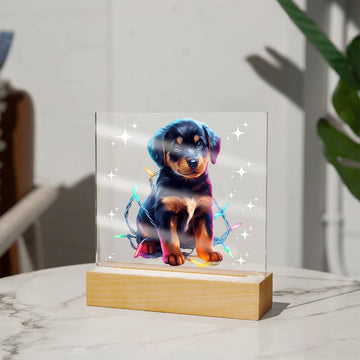 Rottweiler Christmas Night Light