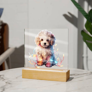 Poodle, Christmas Night Light