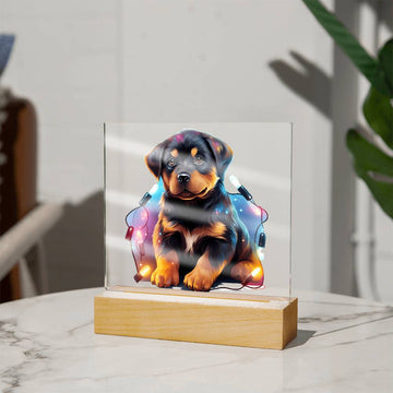 Rottweiler Christmas Night Light