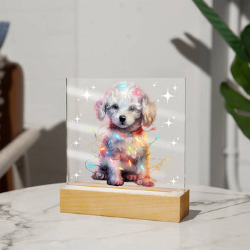 Poodle, Christmas Night Light