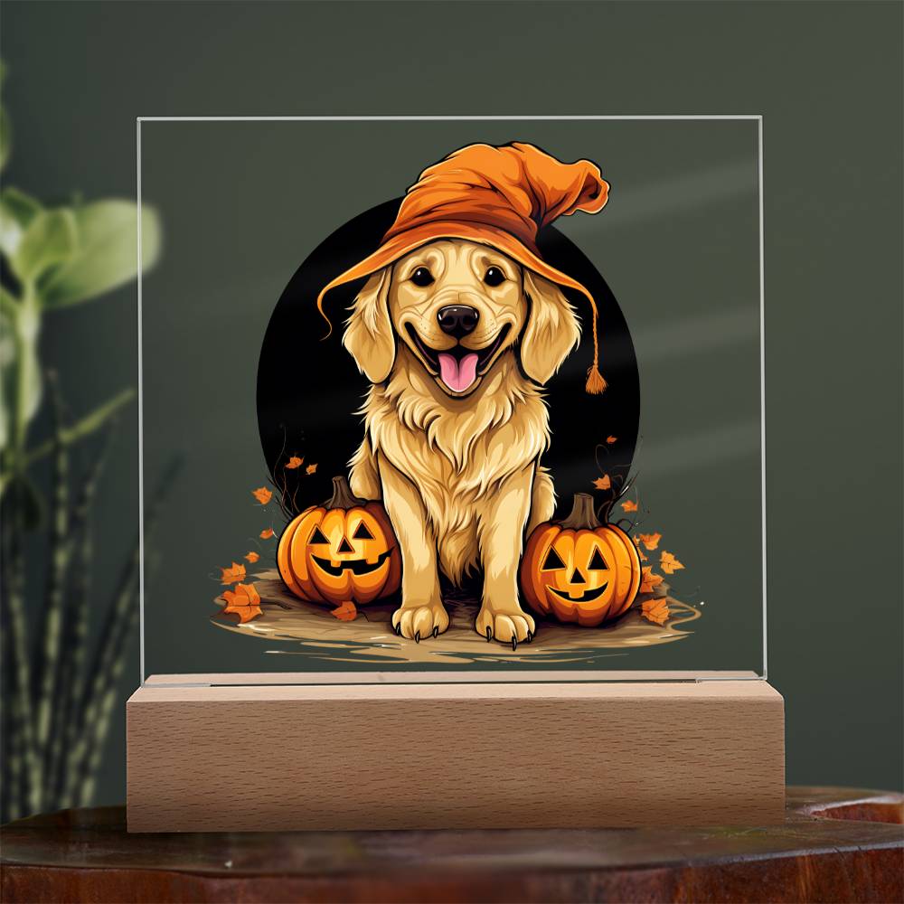 Funny Halloween Decor Indoor | Acrylic LED Night Light | Dog Pumpkin  Golden Retriever