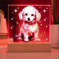 Poodle, Christmas Night Light