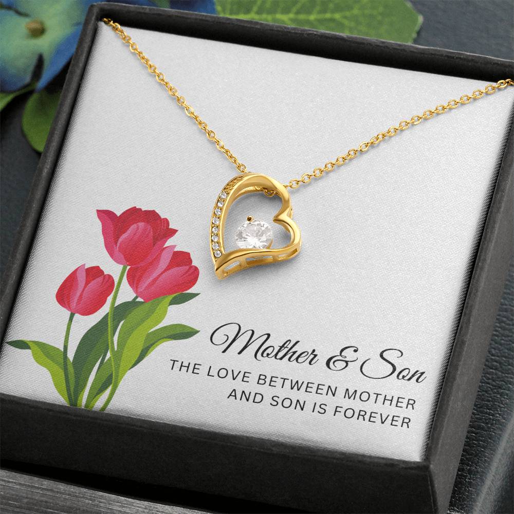 Heart Necklace for Mom from Son